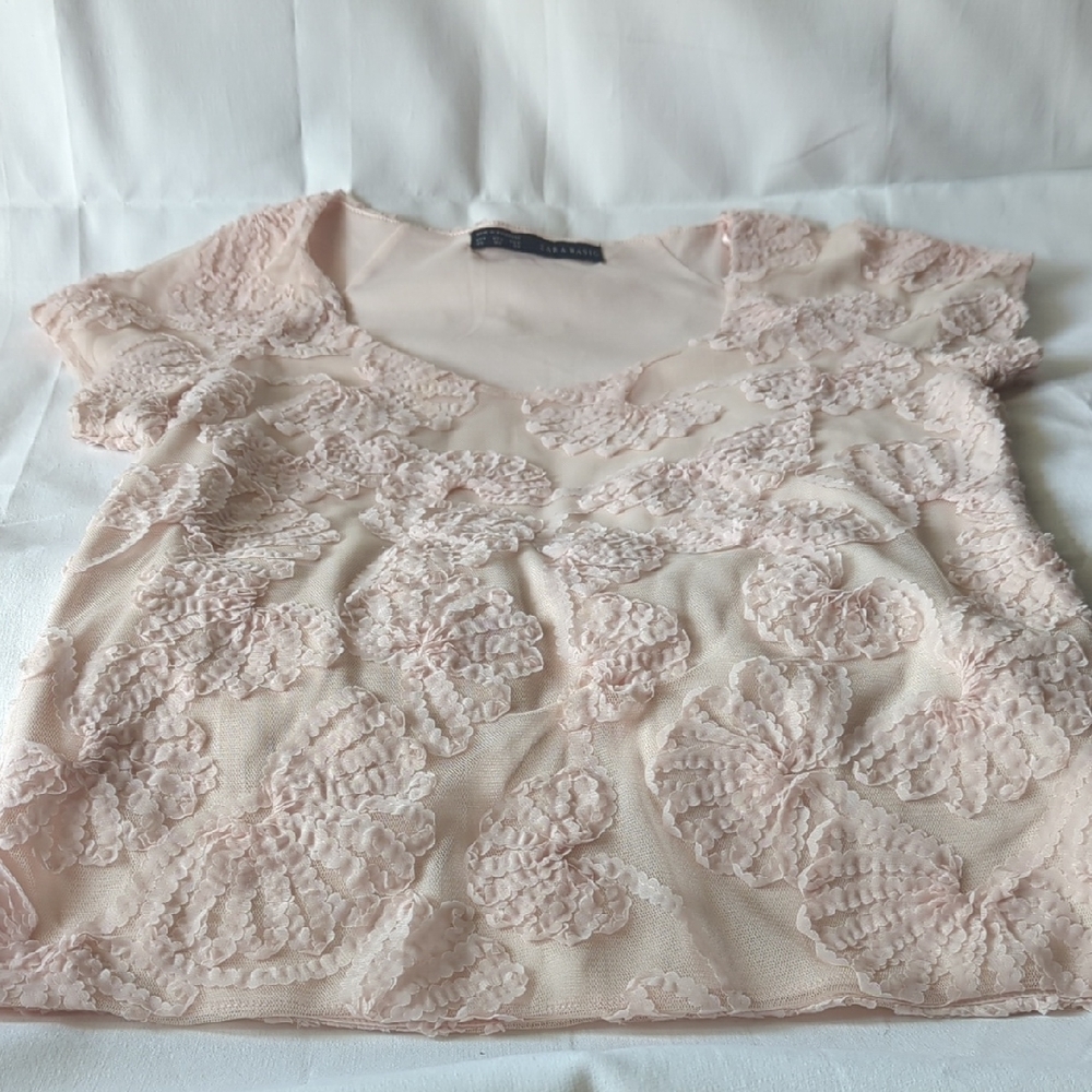 Zara Pink Embellished Short Sleeve Blouse